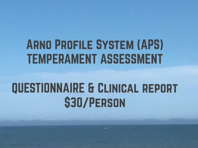 APS Temperament Assessment - Questionnaire & Clinical Report